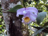 /album/herramienta-tic-para-aprender/dsc01608-jpg/