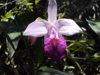 /album/herramienta-tic-para-aprender/dsc01609-jpg/