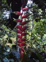 /album/herramienta-tic-para-aprender/dsc01566-jpg/