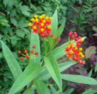 /album/herramienta-tic-para-aprender/g-jpg/